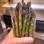 For The Love Of Asparagus